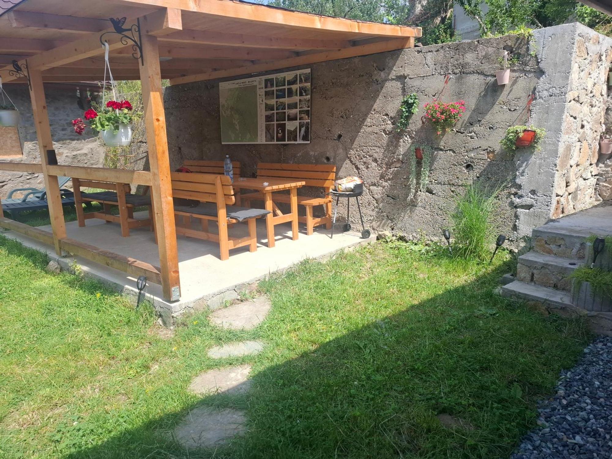 Casa Noua Villa Sasca Montană Exterior photo